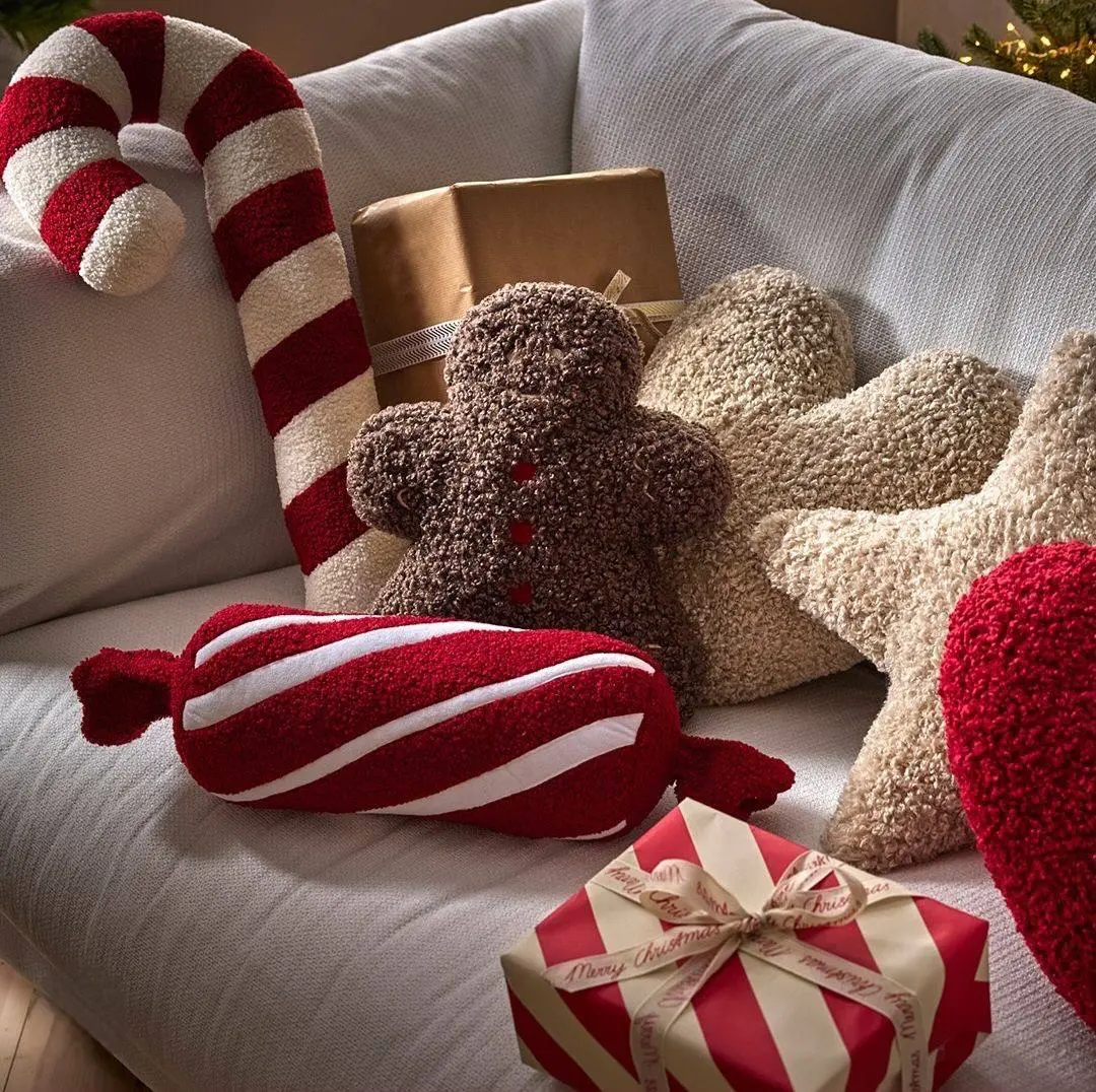 Wall Organizer with Hooks